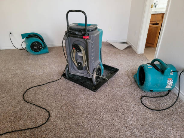 Best Water damage cleanup near me  in Andalusia, IL