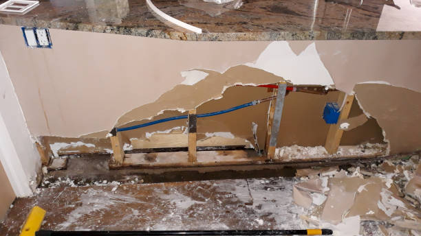 Best Flooded house restoration  in Andalusia, IL