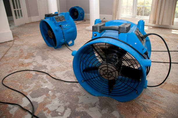 Best Professional water damage repair  in Andalusia, IL