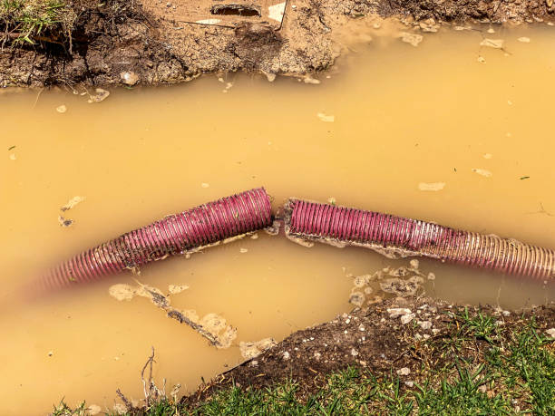 Best Fire Damage Restoration  in Andalusia, IL